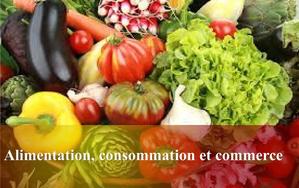 Alimentation, consommation et commerce