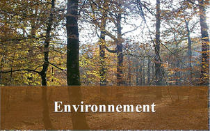 Environnement, eau, forêt, chasse, pêche, réserves naturelles ...