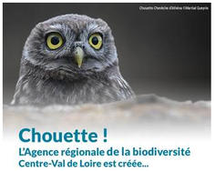 Chouette, l’Agence régionale de la biodiversité est créée !